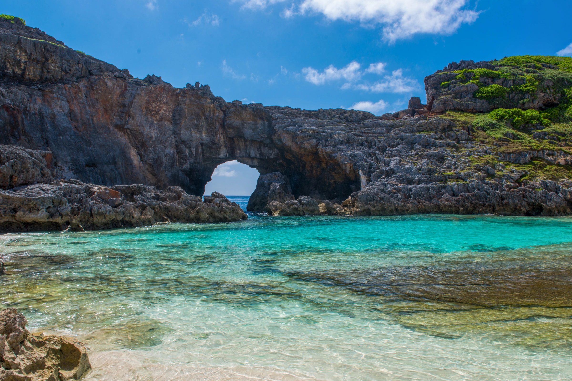 Ogasawara[1].webp
